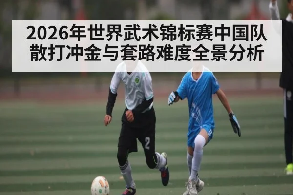 2026年世界武术锦标赛中国队散打冲金与套路难度全景分析